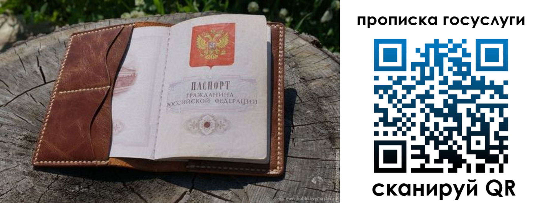 прописка для школы в Кировске